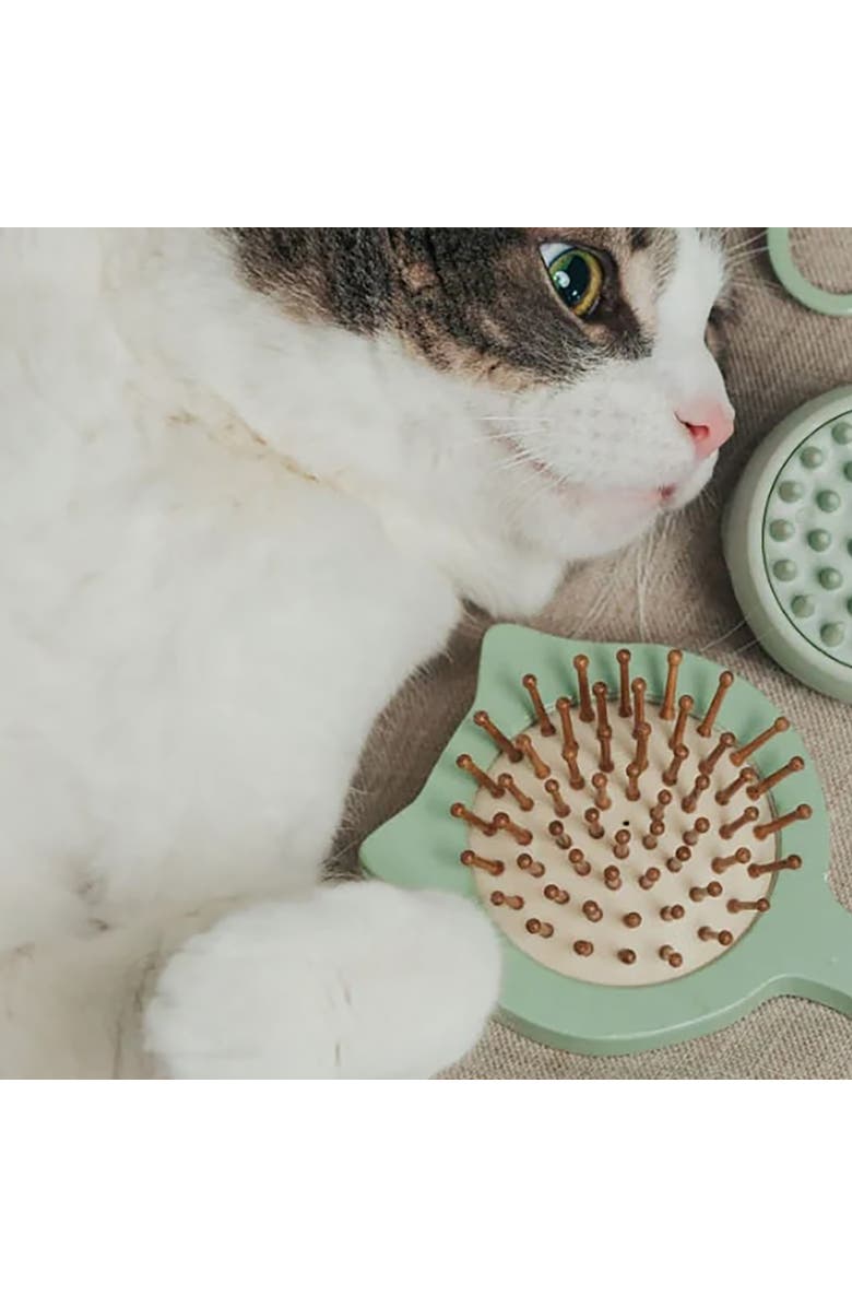 Dexypaws Purrfect Massage Cat Brush, Sage Green, Cat Shaped Comb Head, Pet Care, Alternate, color, Green