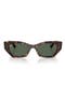 selected Havana / Dark Green