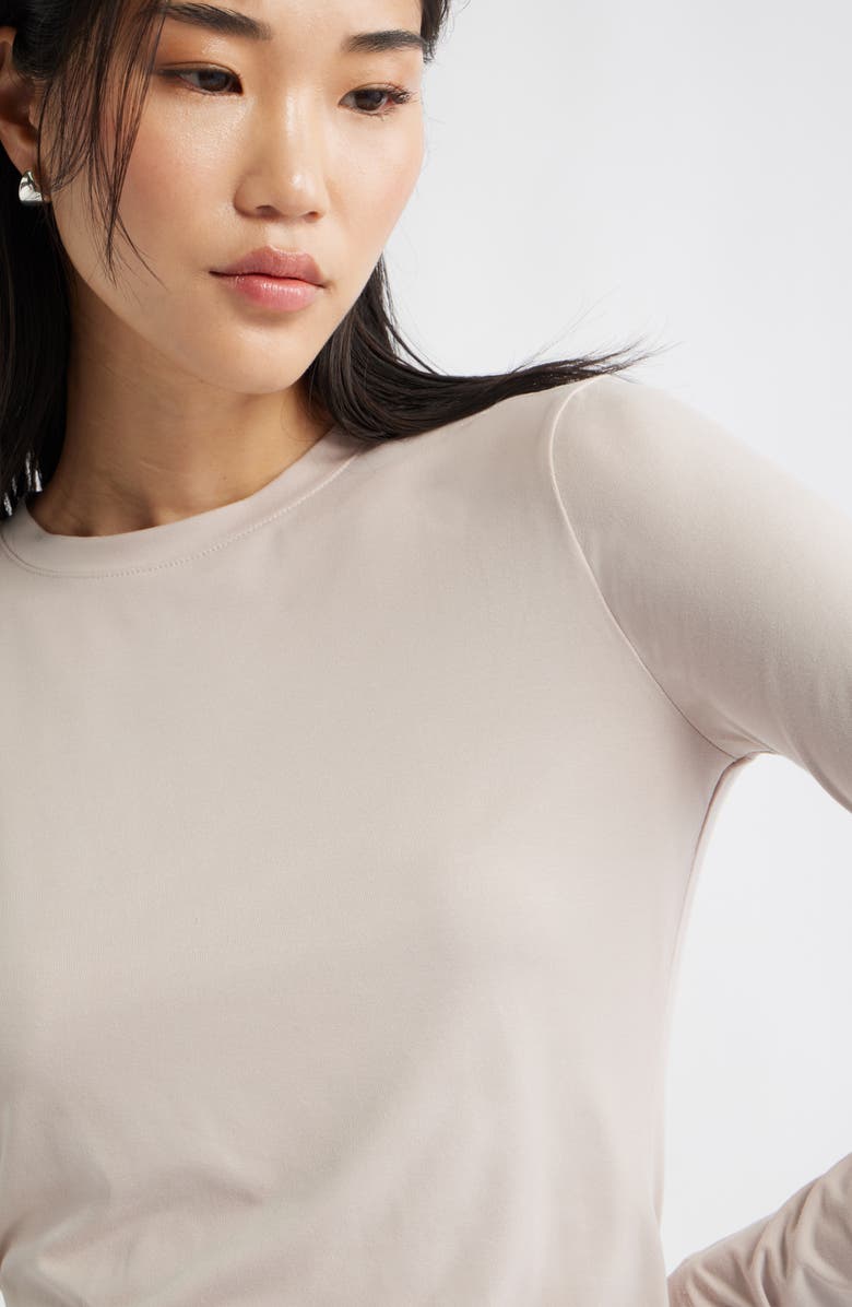 Nordstrom Long Sleeve Crewneck T-Shirt, Alternate, color, Tan Memoir