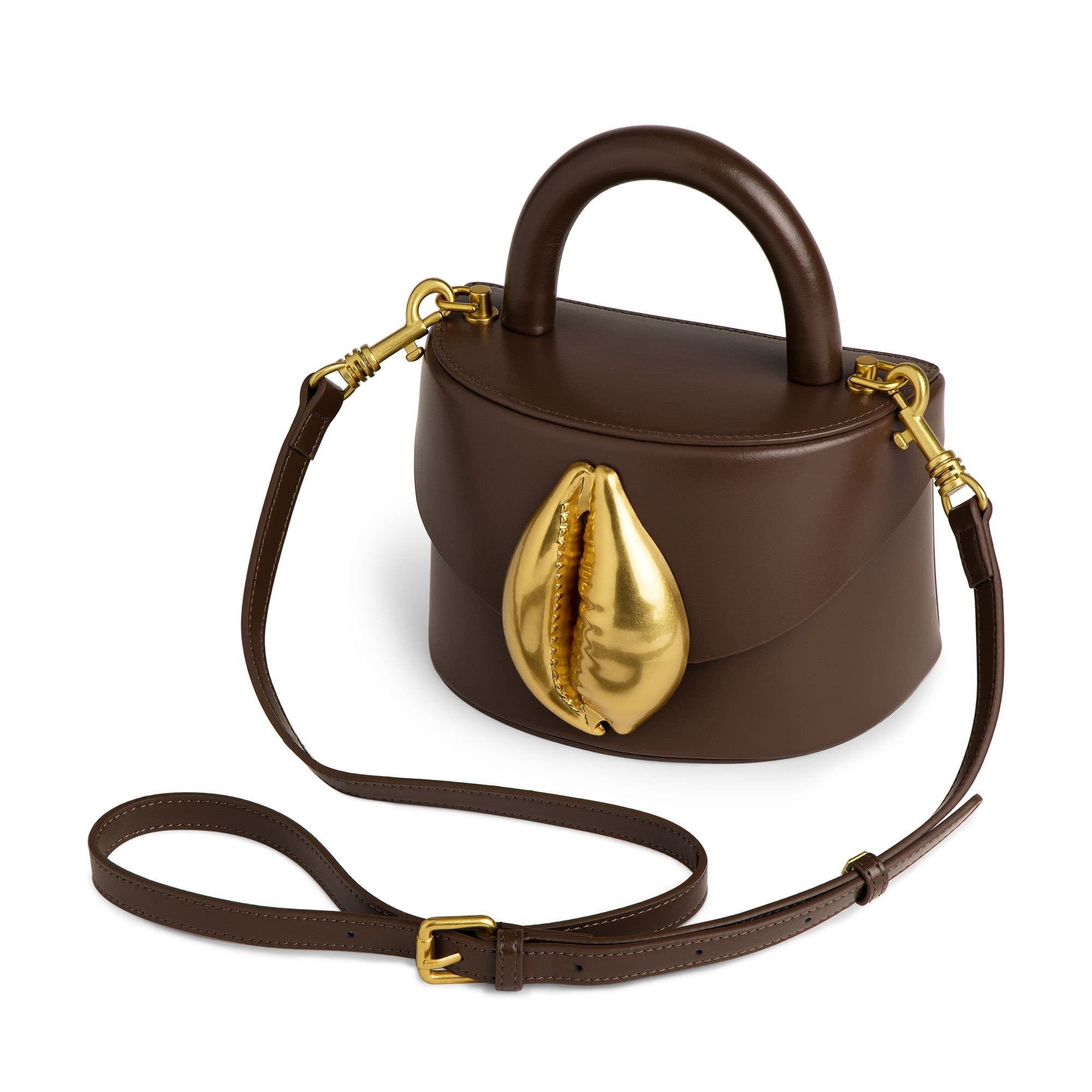 Viera Cowrie Shell, Alternate, color, Dark Brown
