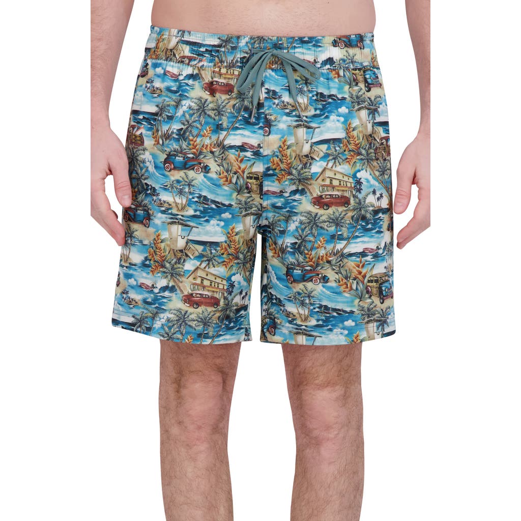 Robert Graham Quickdry Boxer Board Shorts