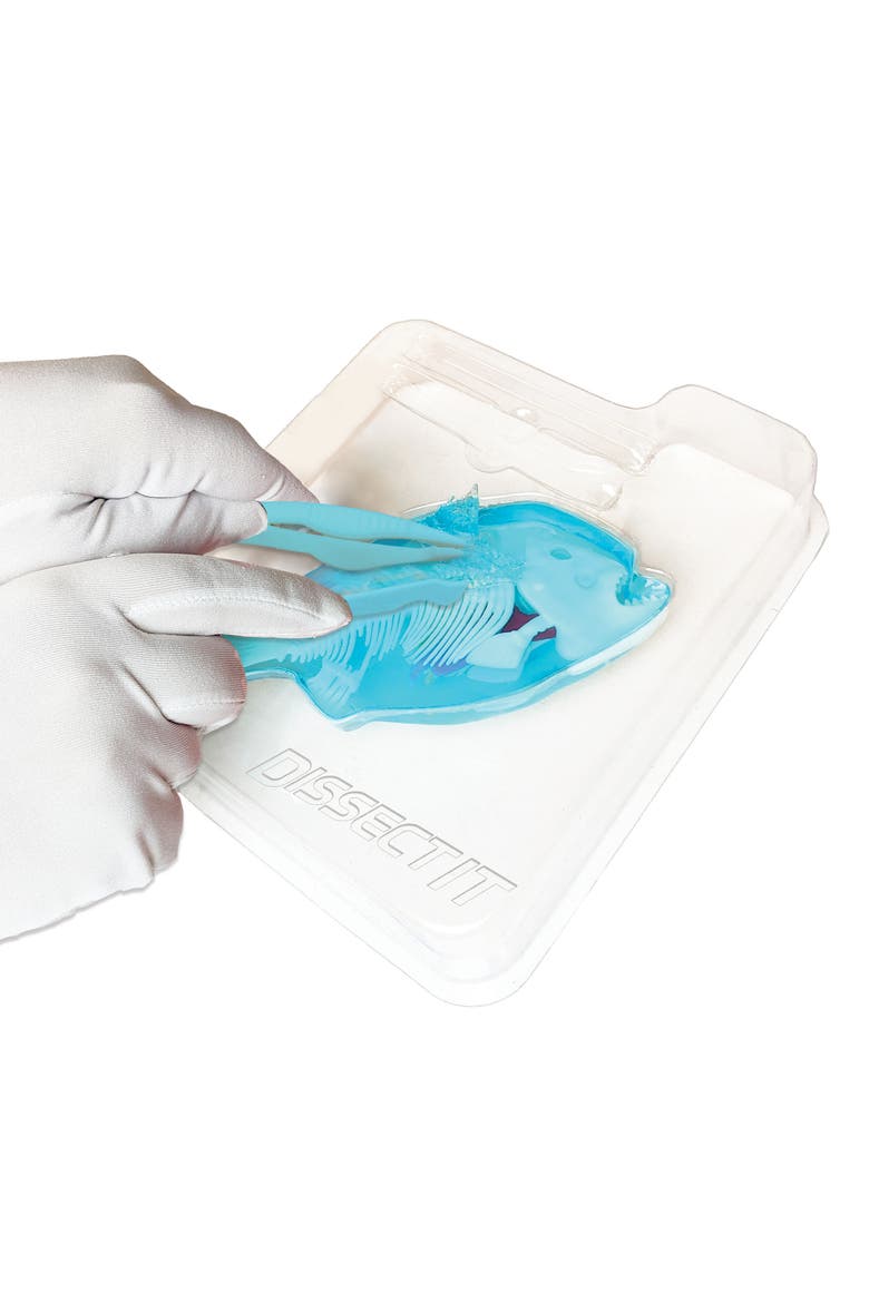Top Secret Toys Dissectit Piranha Lab, Science Kis & Toys, Ages 6+, Alternate, color, Multicolored