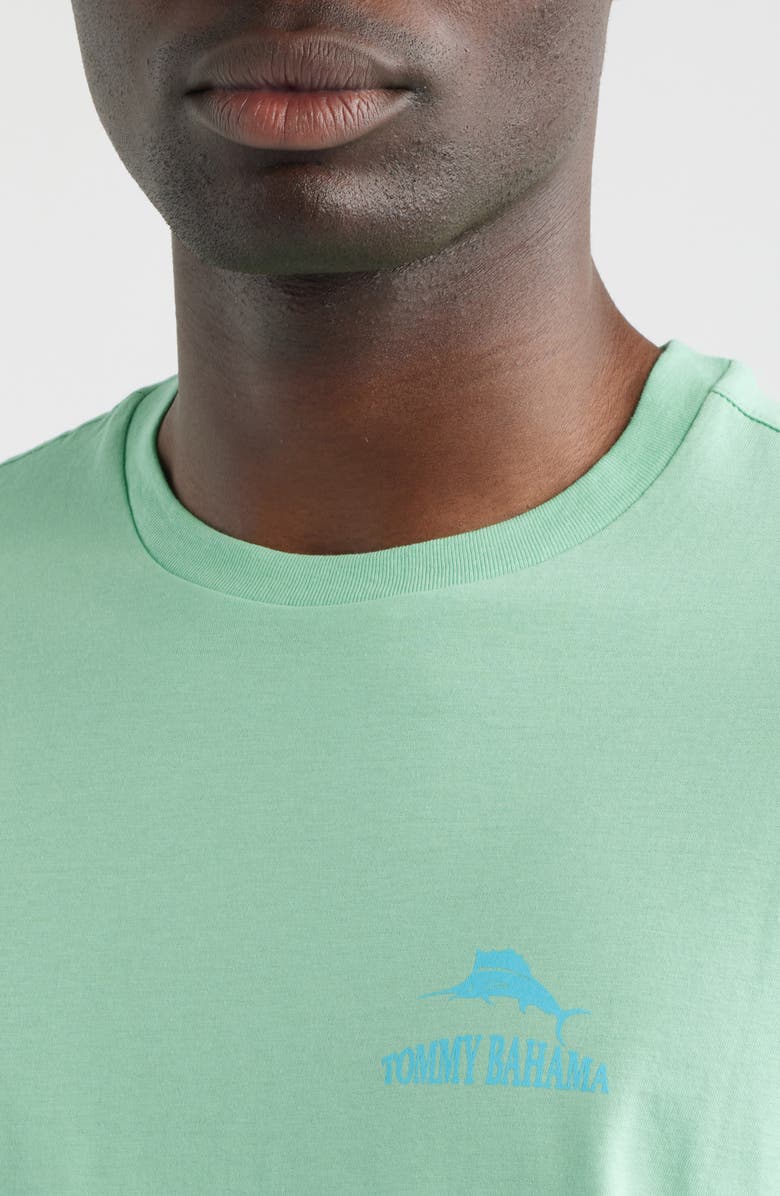 Tommy Bahama I have Angler Issues Cotton Graphic T-Shirt, Alternate, color, Light Neptune Heather