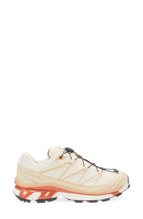 Salomon Xt-6 Gore-tex® Waterproof Sneaker In Neutral