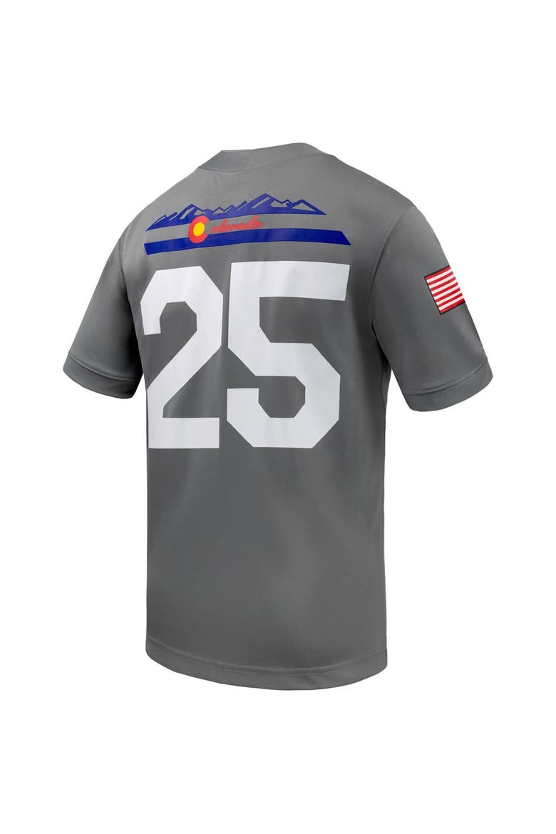 Men's Nike #25 Gray Air Force Falcons APLS Fighting Falcon Collection Football Game Jersey, Alternate, color, Gray