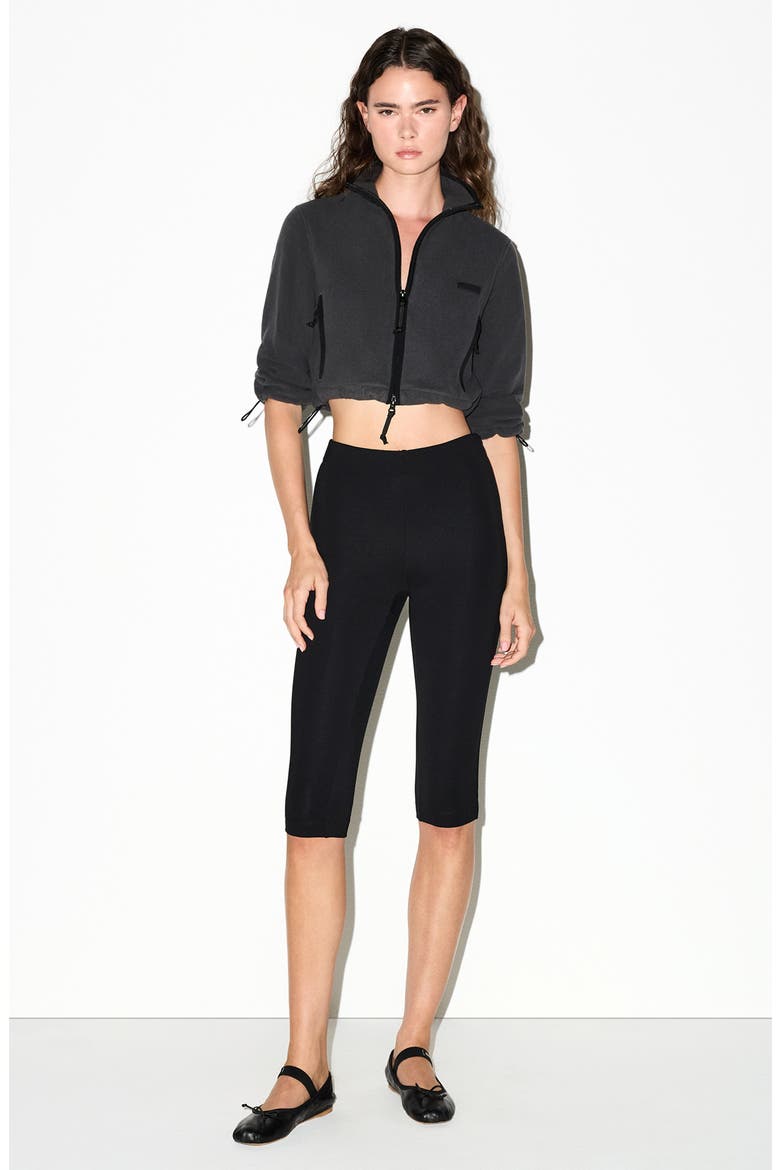 Shrunken Zip Jacket, Alternate, color, ASH