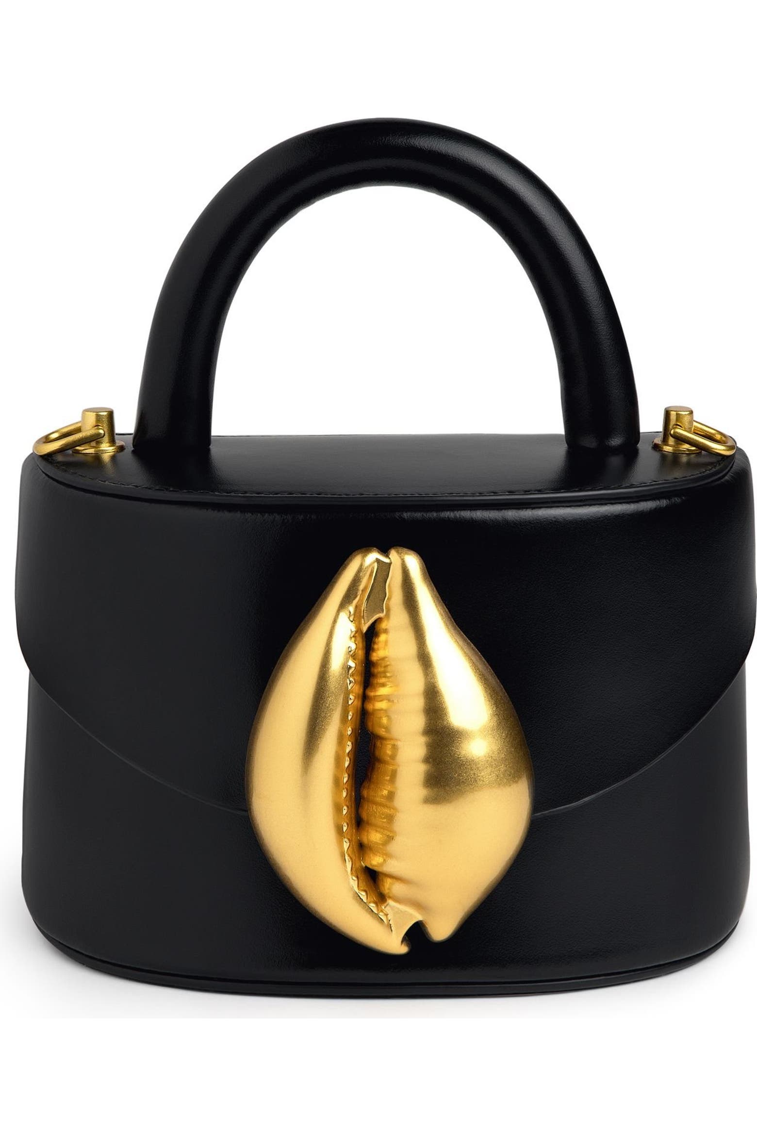 Shell Card Bild Flore K. Viera Cowrie Shell (Women) | Nordstrom