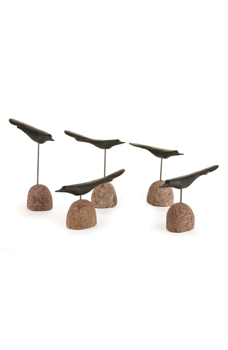 Napa Home & Garden The Flock Set of 5, Main, color, Black
