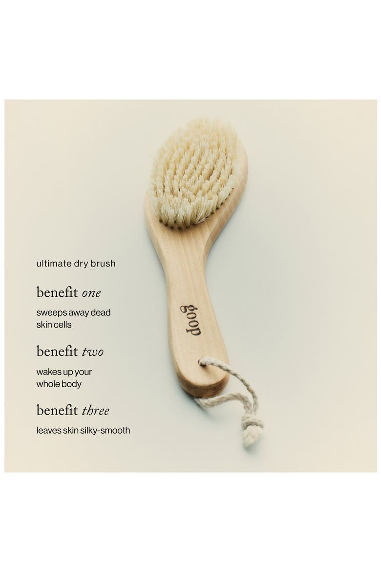 Ultimate Dry Brush, Alternate, color, NO COLOR