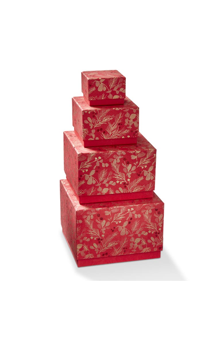 Sprig Keepsake Decorative Gift Box for Christmas Red Multi, Main, color, Red