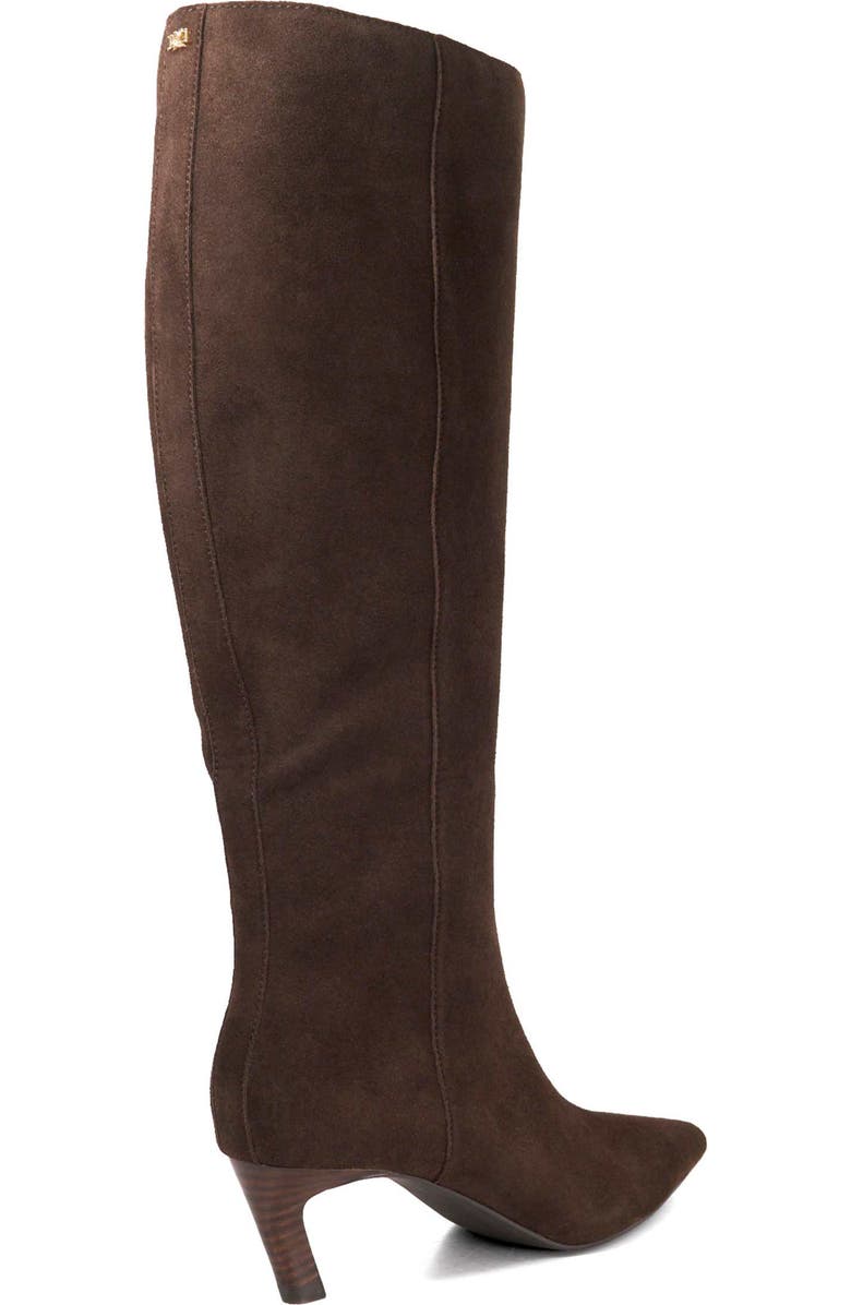 Dune London Siana Pointed Toe Knee High Boot, Alternate, color, Brown