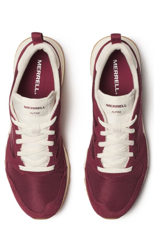 Merrell Alpine 83 Sneaker In Syrah