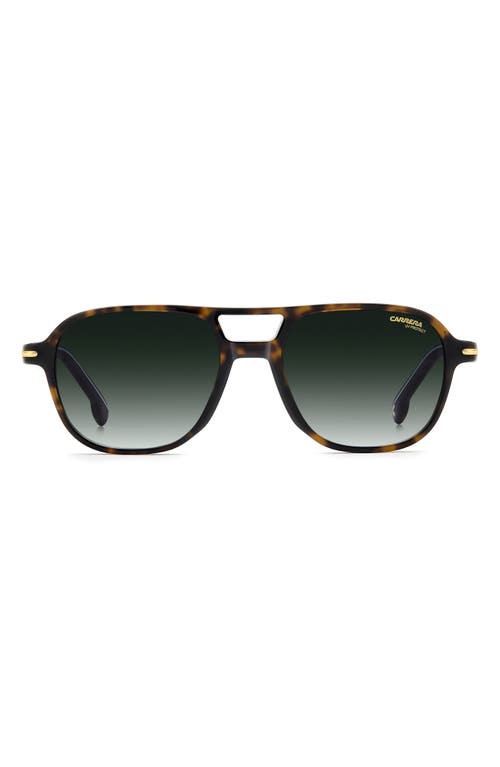 Carrera Eyewear Ca 392/s 54mm Square Sunglasses In Havana/green Shaded