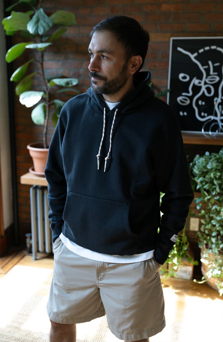 Druthers NYC Organic Cotton 685 GSM French Terry Hooded Sweatshirt, Alternate, color,