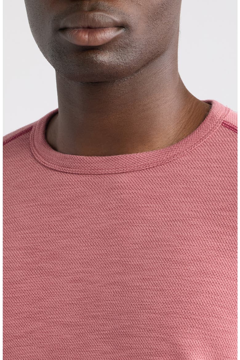 Sand Wave Slub Cotton Blend T-Shirt, Alternate, color, COSMOPOLITAN