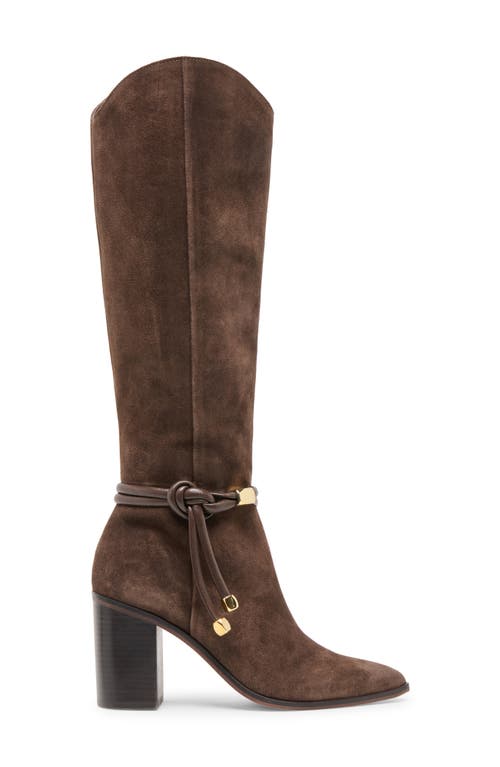 Dolce Vita Tarren Knee High Boot In Brown
