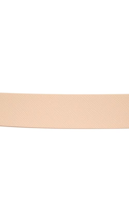 Steve Madden Round Ribbon Buckle Belt In Tan