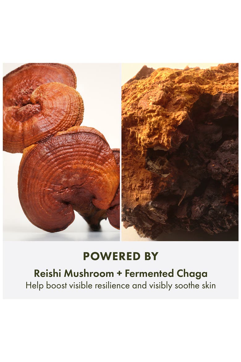 Mega-Mushroom Relief & Resilience Hydra Burst Gel Lotion, Alternate, color, NO COLOR