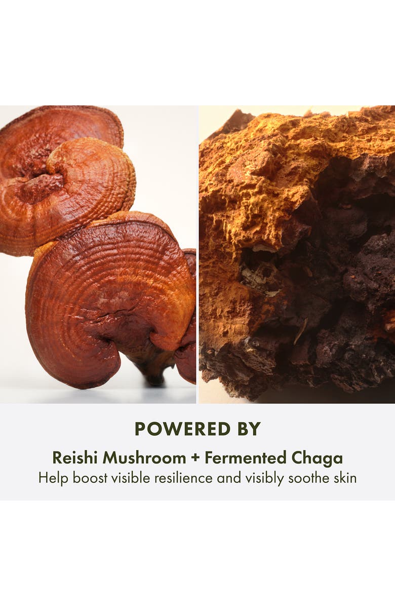 Origins Mega-Mushroom Relief & Resilience Hydra Burst Gel Lotion, Alternate, color,