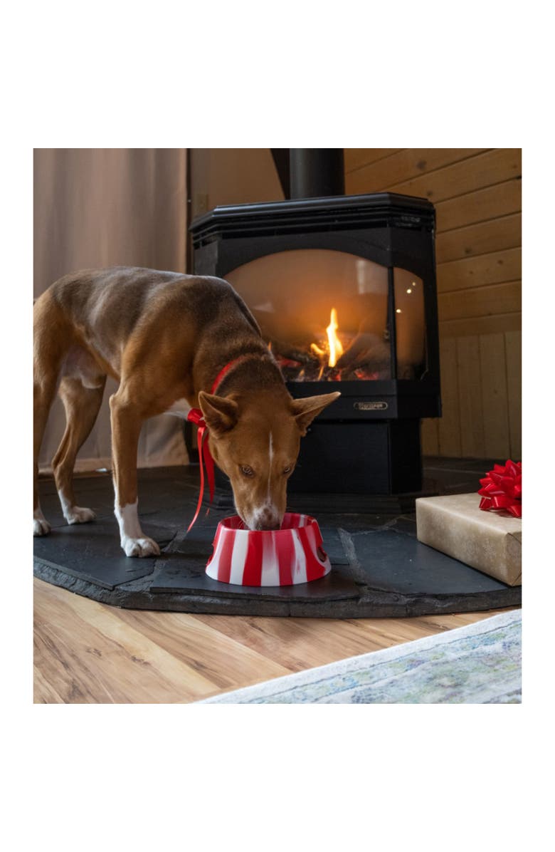 Silipint Aquafur Silicone 18Oz Dog Bowl, Colapsible/Foldable, Peppermint, Alternate, color, 