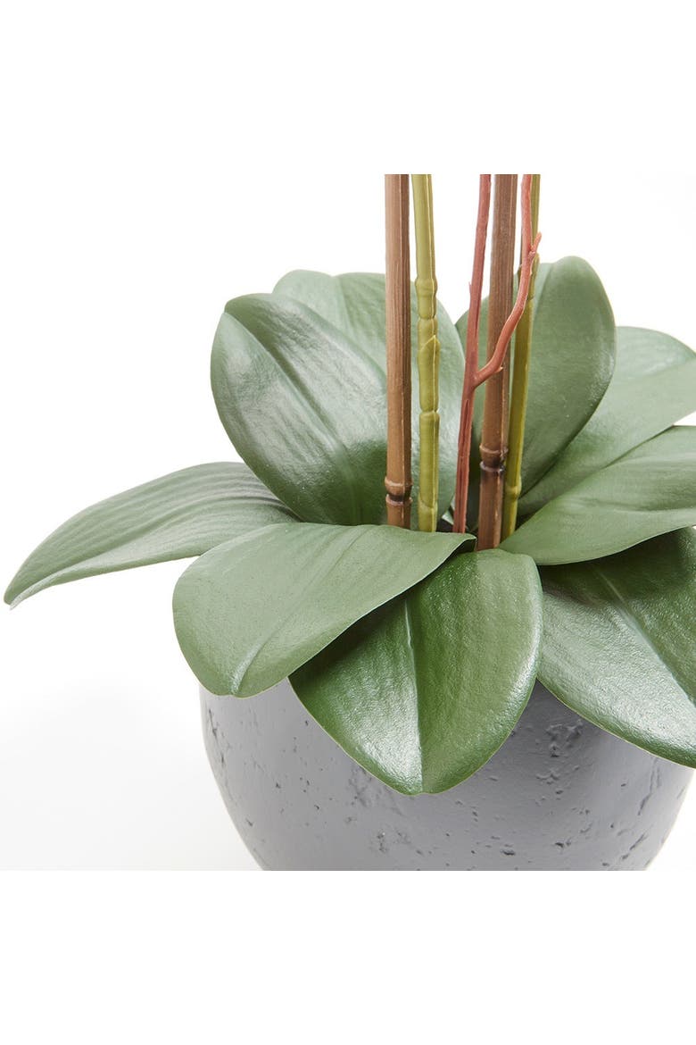 Artificial White Double Stem Orchid, Alternate, color, White and Grey