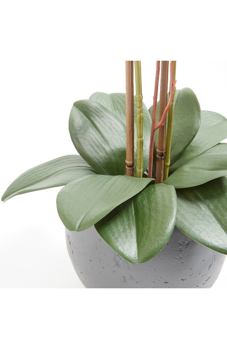 CG Hunter Artificial White Double Stem Orchid, Alternate, color, White And Grey