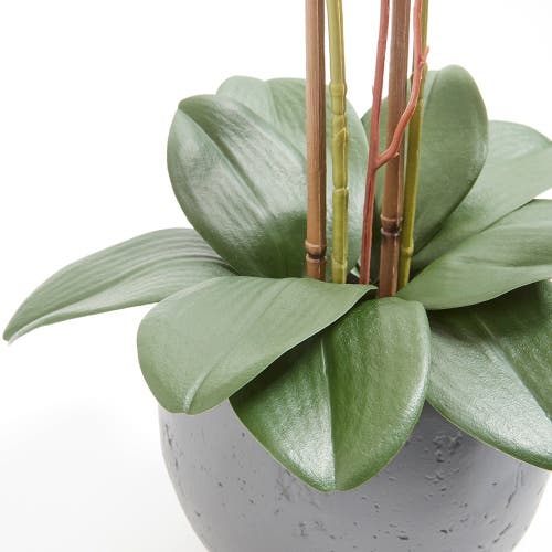 Cg Hunter Artificial White Double Stem Orchid In Multi