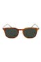 selected Light Tortoise
