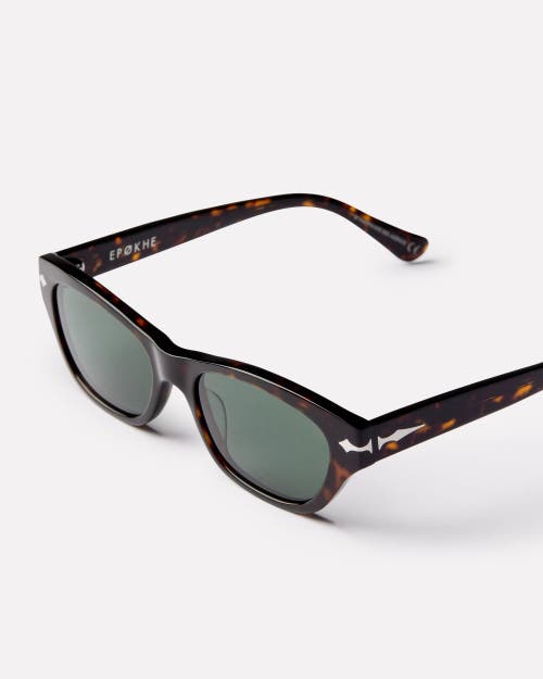 Epokhe Frequency Sunglasses In Brown