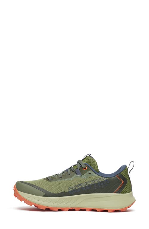 Saucony Peregrine 15 Trail Running Shoe In Multi