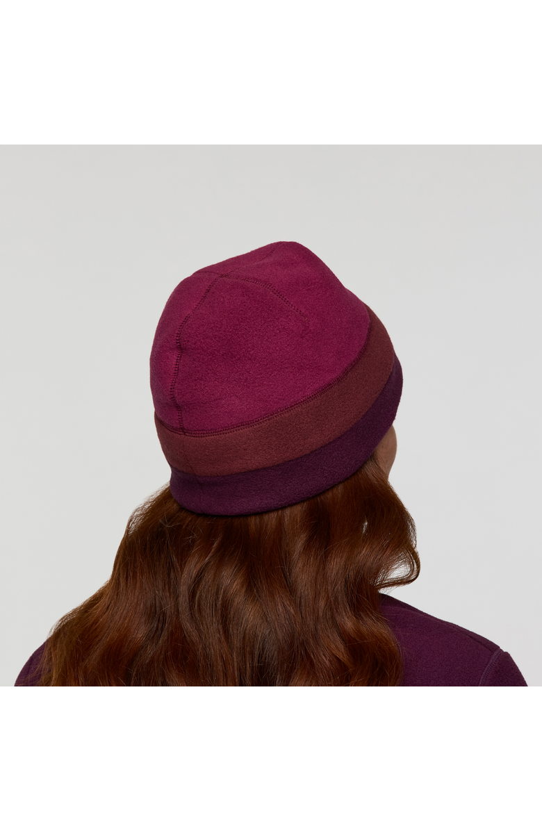 Cotopaxi Teca Fleece Beanie, Alternate, color, Nutmeg Stripes