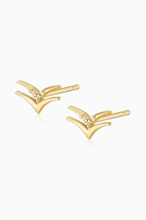 Oradina 14k Yellow Gold Fly High Studs In Gold