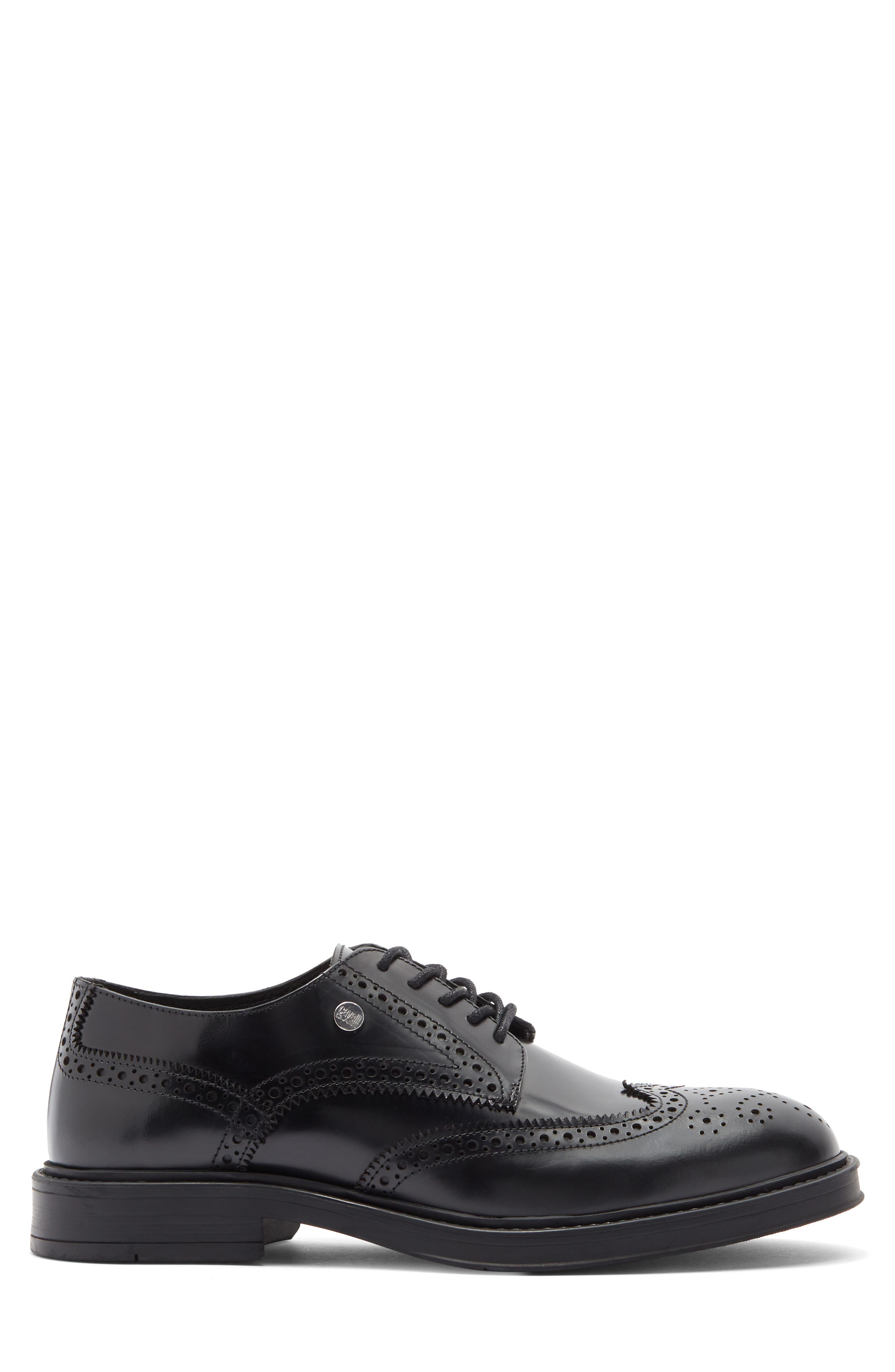 Roberto Cavalli Crip Wingtip Derby, Alternate, color, Black