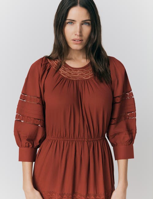 Ghost London Leoni Lace Trim Cotton Midi Dress In Brown