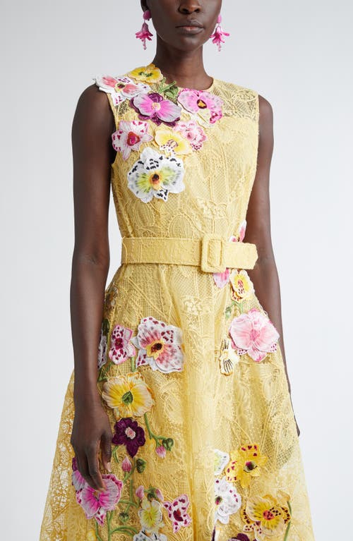 Oscar De La Renta Orchid Threadwork Floral Lace Fit & Flare Dress In Banana