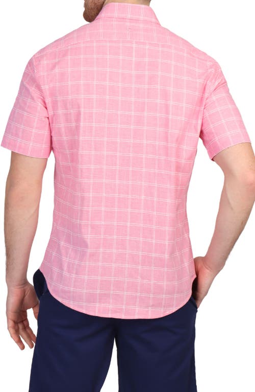 Tailorbyrd Windowpane Stretch Cotton Short Sleeve Button-down Shirt In Sunwashed Red