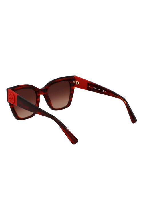 Longchamp Medallion 52mm Modified Rectangular Sunglasses In Striped Red