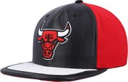 Mitchell & Ness Men's Mitchell & Ness Black/White Chicago Bulls Day One Snapback Hat