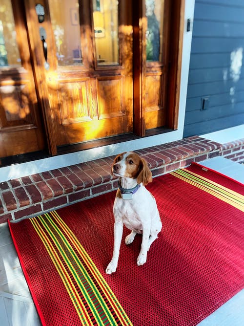 Mad Mats Serape Dark Red