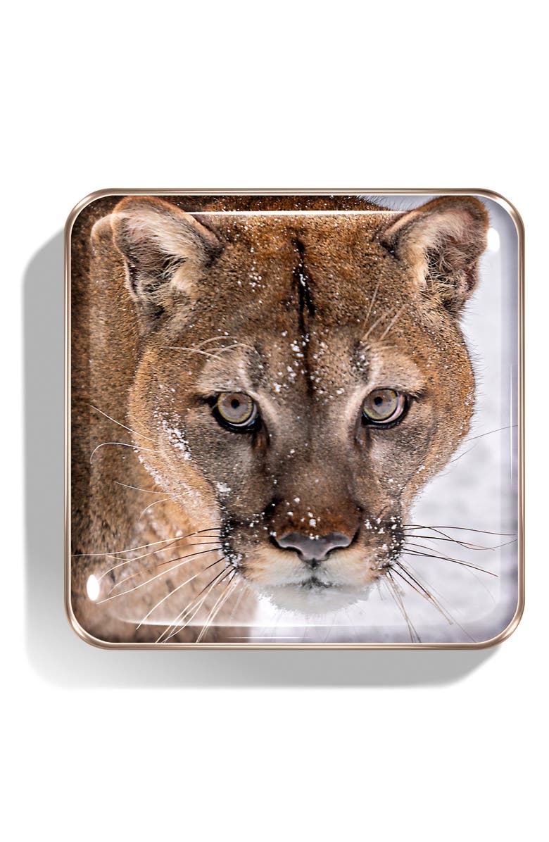 Chantecaille Cougar Eyeshadow Palette, Alternate, color,