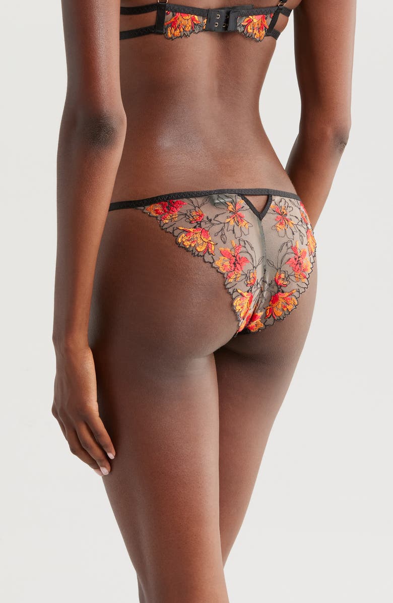 Bluebella Calista Embroidered Mesh Briefs, Alternate, color, 