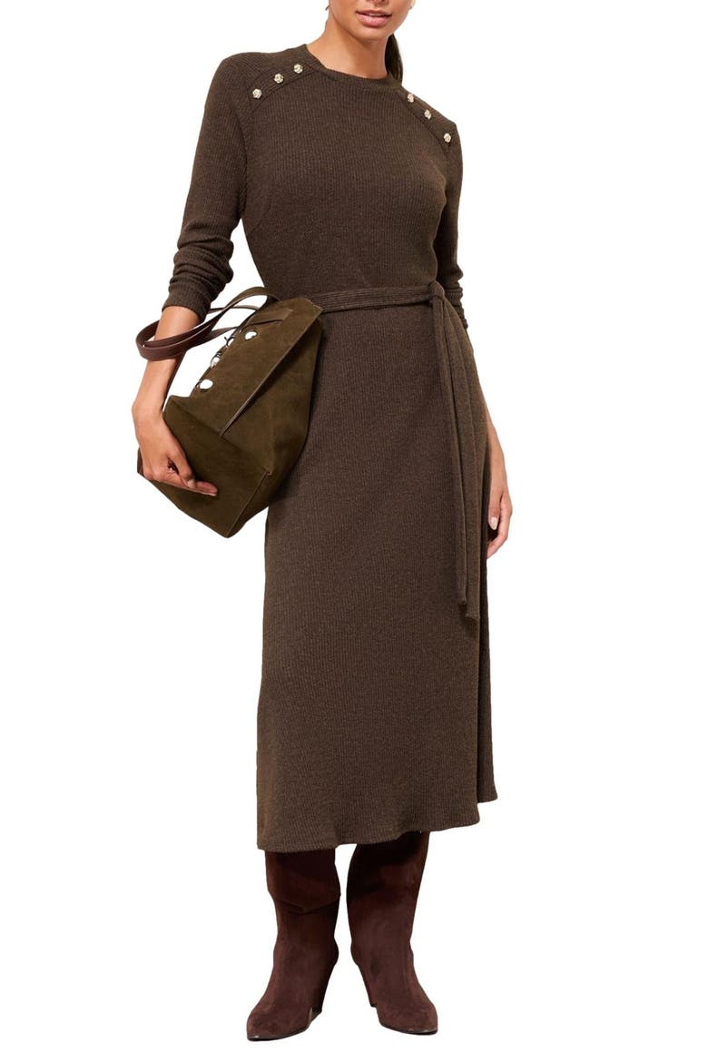 Long Sleeve Sweater Dress, Main, color, BROWN
