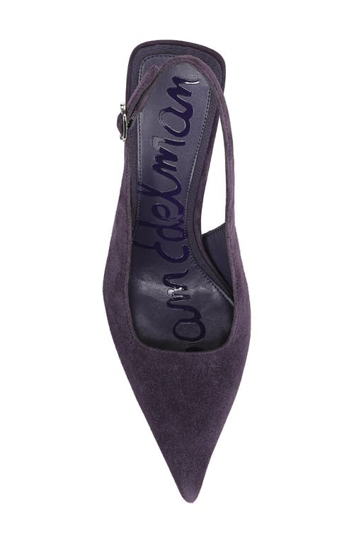 Sam Edelman Odette Pointed Toe Slingback Pump In Purple