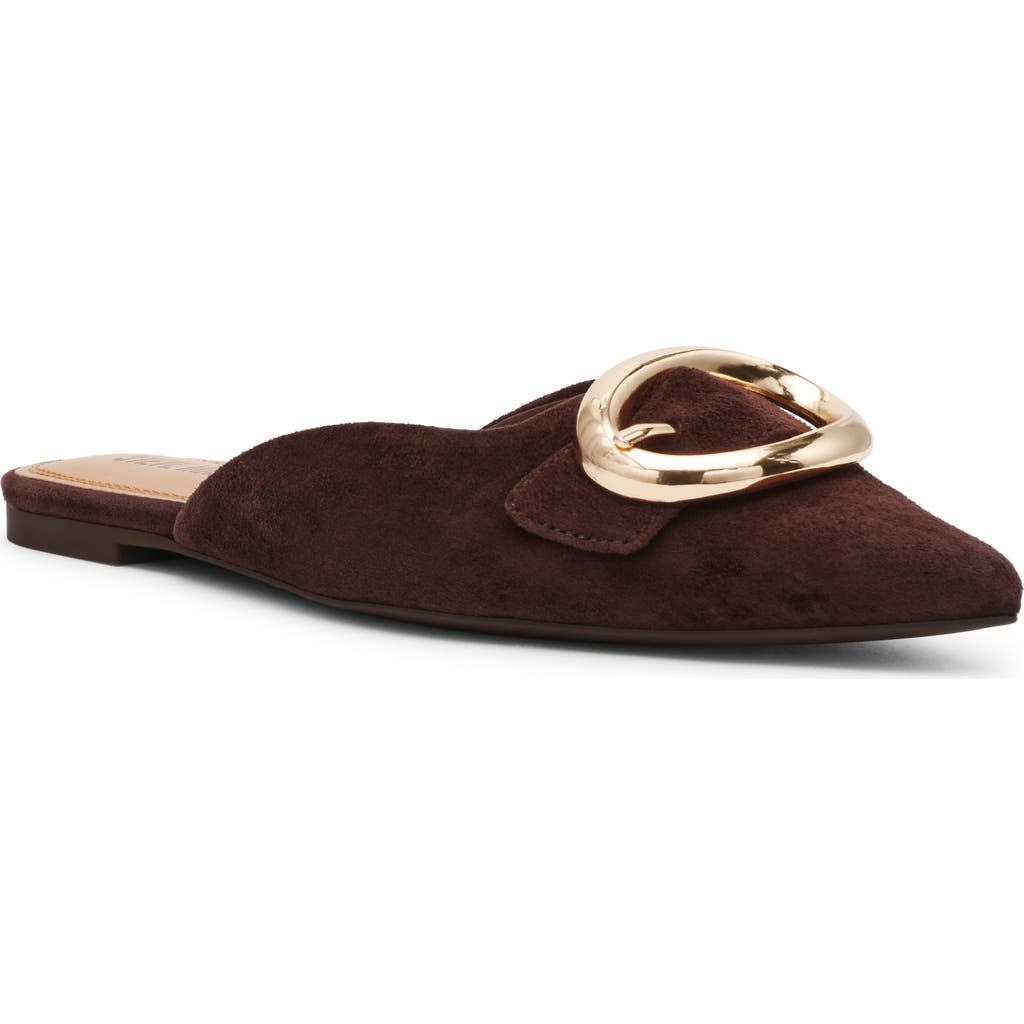 Steve Madden Ira Pointed Toe Mule In Brown