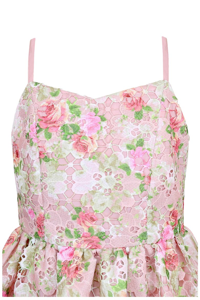Kids' Printed Lace Scallop Hem Party Dress, Alternate, color, PINK MULTI