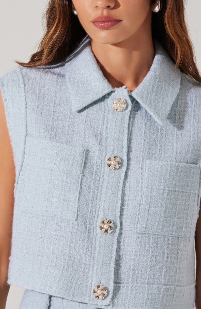 ASTR the Label Jhene Sleeveless Wool Blend Tweed Top, Alternate, color, 