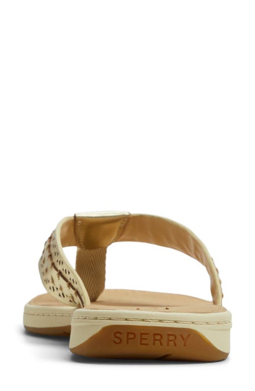 SPERRY SPERRY SEAFISH 3 PERFORATED FLIP FLOP