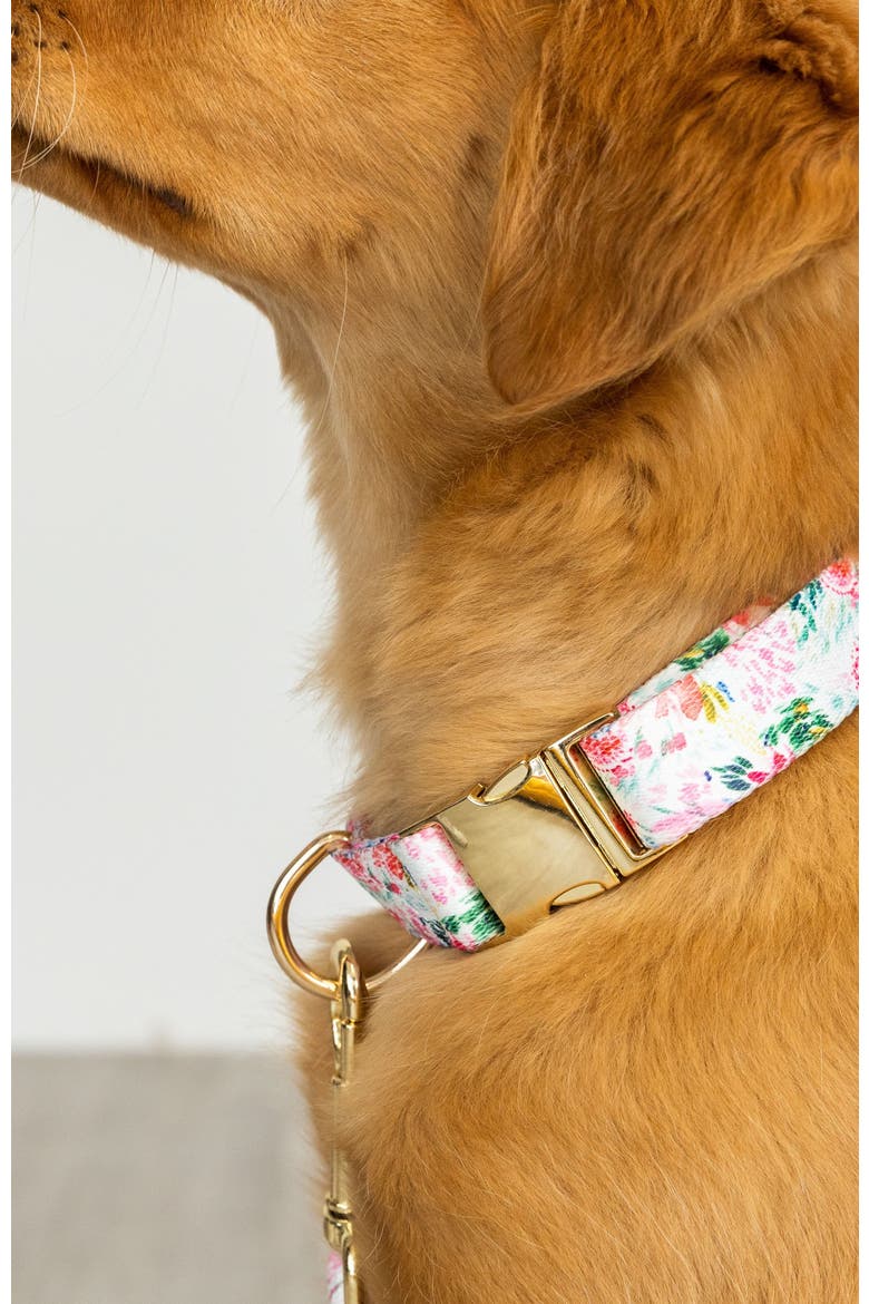 Isabella Dog Collar, Alternate, color, Isabella