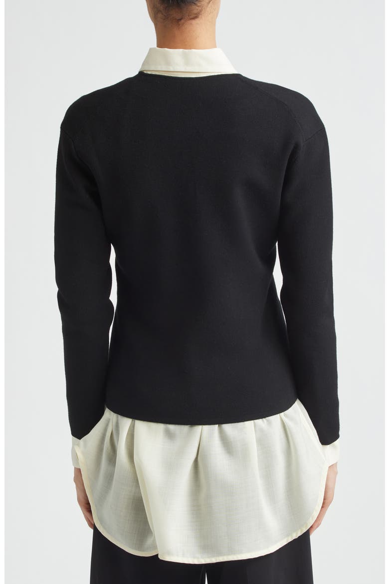 Compact Knit V-Neck Sweater, Alternate, color, BLACK