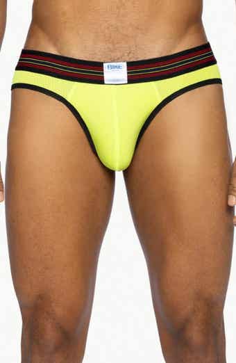 Mesh Briefs